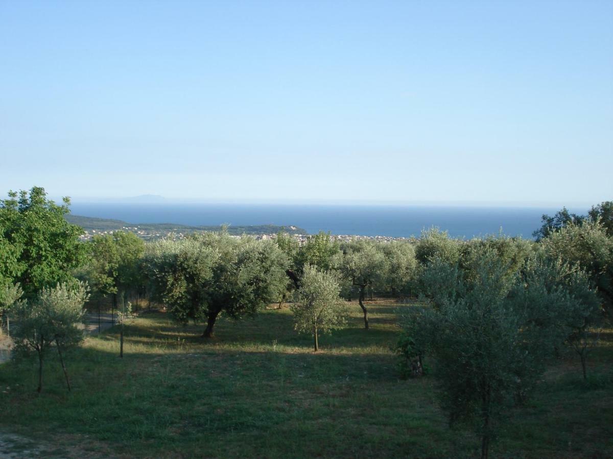 Globetrotter Bed & Breakfast Zinnowitz Dış mekan fotoğraf