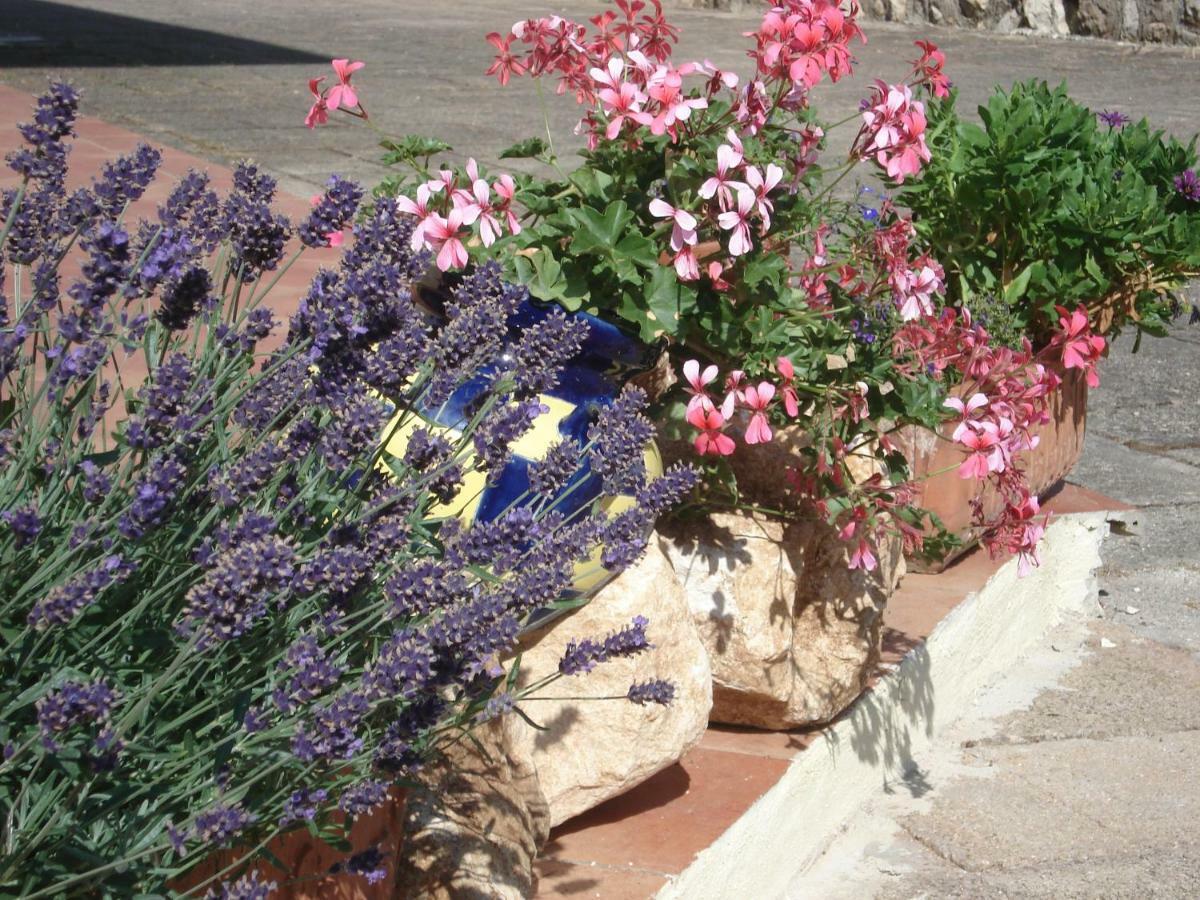Globetrotter Bed & Breakfast Zinnowitz Dış mekan fotoğraf