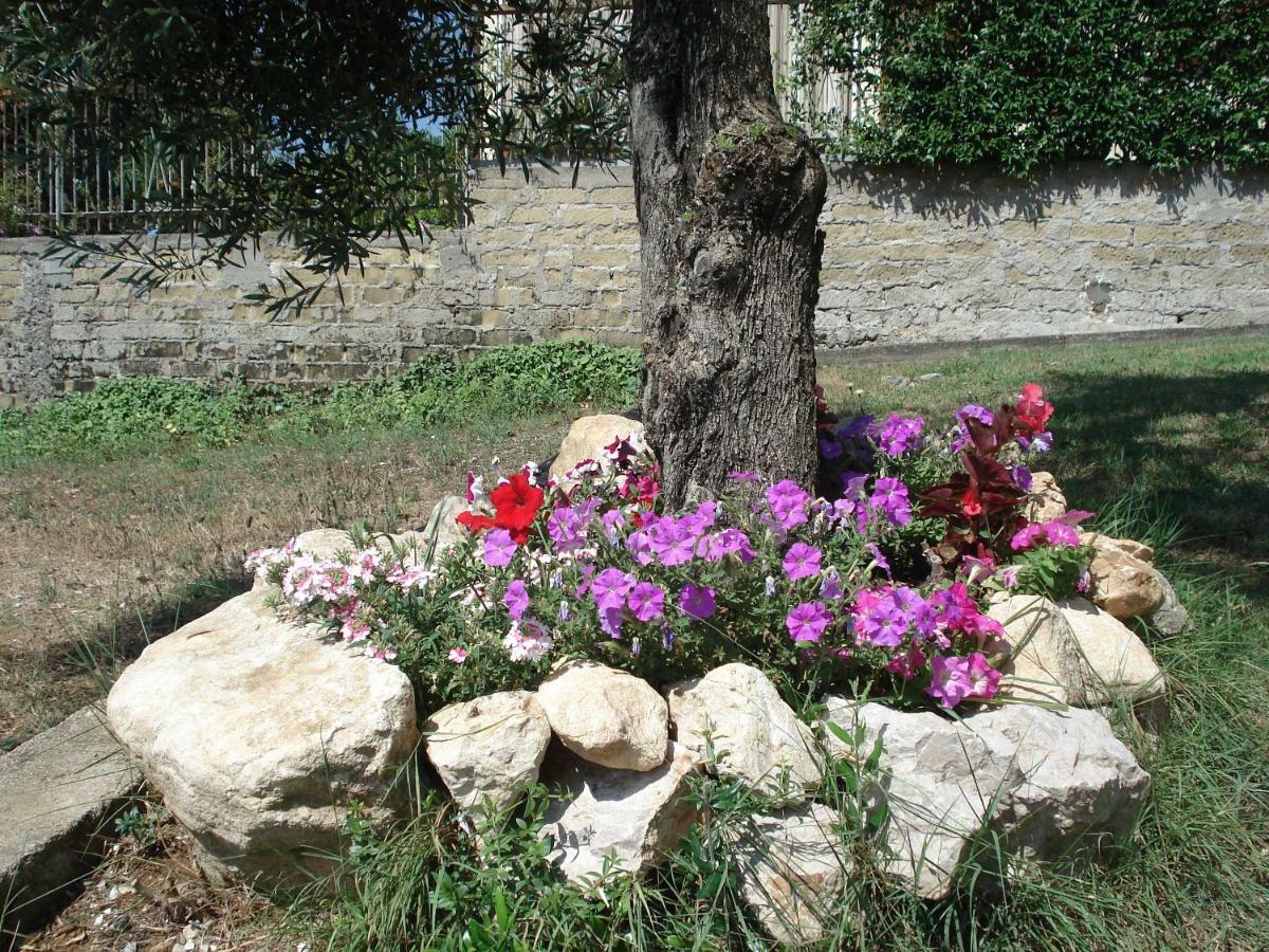 Globetrotter Bed & Breakfast Zinnowitz Dış mekan fotoğraf